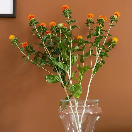 Zebra Naviglio בית הארחה מילאנו